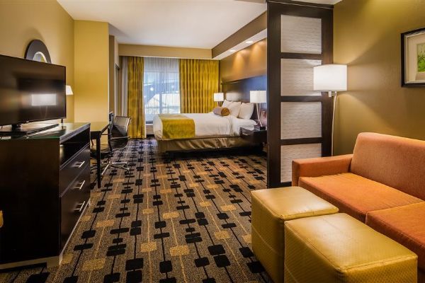 BEST WESTERN PREMIER UNIV INN (Hattiesburg)
